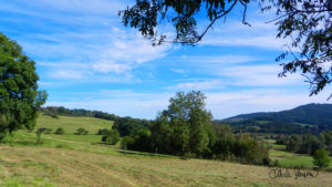 Sušice je Bránou Šumavy a právě tady se začíná pošumavská „Vysočina“ zvedat nahoru… V létě je Svatobor (ten kopec úplně vpravo) tím nejlepším startovním místem pro cyklistické výlety, ať už terénem nebo po silnici, a proto jsem se tady usadil ;-)